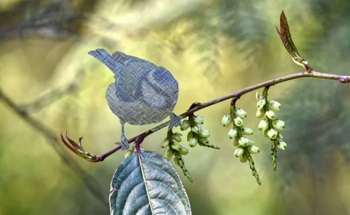 frontiers of a warbling&nbsp;anchor